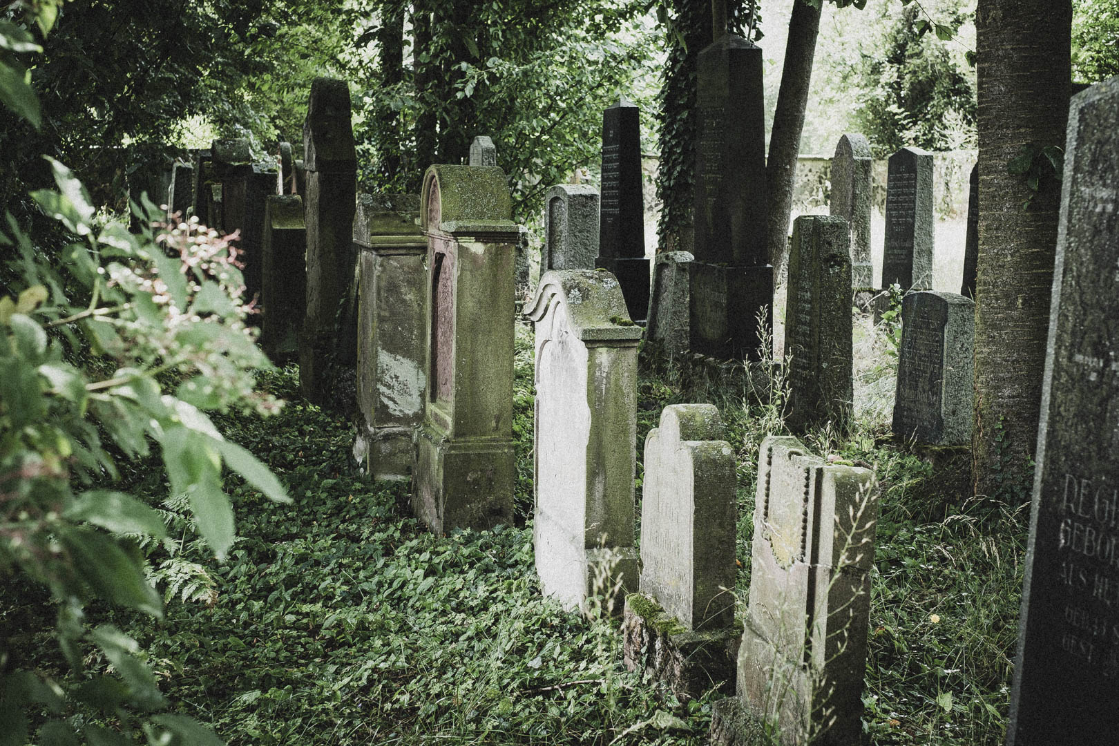 Langenselbold, Jüdischer Friedhof